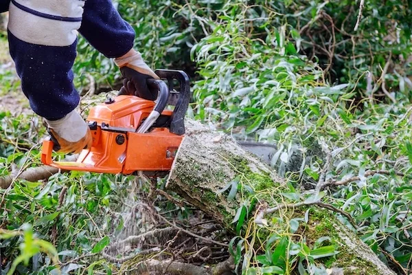 Land Clearing and Mulching